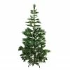Northlight 7' Pre-Lit Medium Pine Artificial Christmas Tree - Warm Clear LED Lights -Northlight Shop 0kzup0xp9zxf4befi3ynvzo9xw66xk0y 02958.1588358700