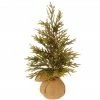 Raz 18" Potted Glitter Pine Full Artificial Christmas Tree - Unlit -Northlight Shop 21hv27yhppkbvy1vbhu7vl52zxxlawhj 90220.1588397435