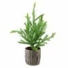 Northlight 12" Potted Medium Artificial Pine Christmas Tree - Unlit -Northlight Shop 5hip95ydsnqwl35ipyuiki9d00xcj5de 85753.1588359030