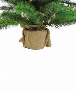 Northlight 3' Pre-Lit Potted New Carolina Spruce Medium Artificial Christmas Tree - Clear Lights -Northlight Shop 6umv26h3jfdwordmgfvtt3xnsghorfzp 95624.1665433300