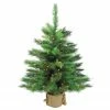 Northlight 3' Pre-Lit Potted New Carolina Spruce Medium Artificial Christmas Tree - Clear Lights 2 Northlight 3' Pre-Lit Potted New Carolina Spruce Medium Artificial Christmas Tree - Clear Lights -Northlight Shop 7rjx1uxnd3jwra2mvxmfo8ikd1jszswx 17480.1665610742