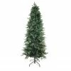 Northlight 6.5' Slim Washington Frasier Fir Artificial Christmas Tree - Unlit 1 Northlight 6.5' Slim Washington Frasier Fir Artificial Christmas Tree - Unlit -Northlight Shop 9mzciqwtije1odgjwkksy45ob3b1nmgz 99499.1604542630