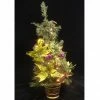 Allstate 2.5' Pre-Lit Potted Lime Green Poinsettia Pine Slim Artificial Christmas Tree - Clear Lights -Northlight Shop allstatexdy812 gr fu 82881.1588397709