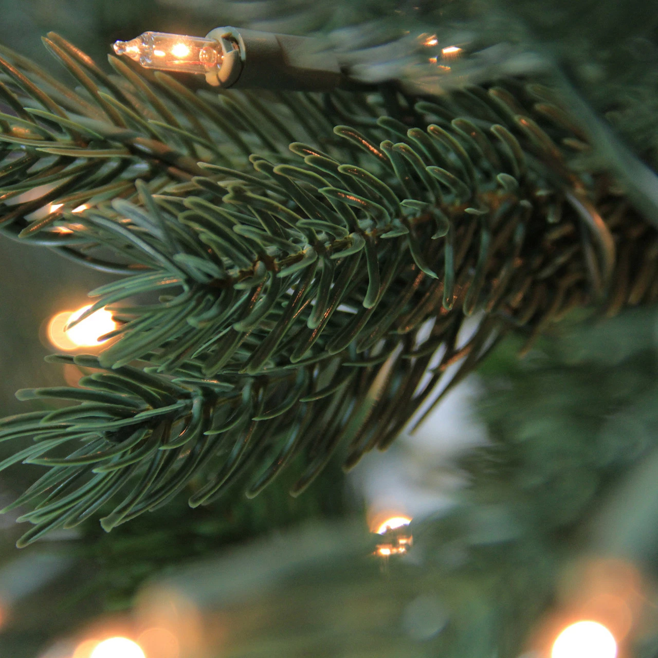Vickerman 7.5' Pre-Lit Slim Vermont Fir Green Instant Shape Artificial Christmas Tree - Clear Dura-Lit Lights 4 Vickerman 7.5' Pre-Lit Slim Vermont Fir Green Instant Shape Artificial Christmas Tree - Clear Dura-Lit Lights - Image 2