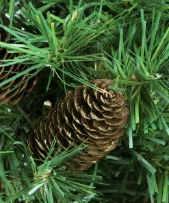 Northlight 2' Full Dakota Pine Artificial Christmas Tree, Unlit -Northlight Shop d0paxjmqd0tihr9cwwc4pcpmulbrhb03 55401.1588397269
