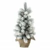Northlight 19" Potted Slim Flocked Mini Pine Artificial Christmas Tree In Burlap Base - Unlit 2 Northlight 19" Potted Slim Flocked Mini Pine Artificial Christmas Tree In Burlap Base - Unlit -Northlight Shop diofliqavkn6p2y2vtaybn0wbfcmjlzm 75611.1588397310