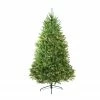 Northlight 14' Pre-Lit Full Northern Pine Artificial Christmas Tree - Clear Lights 2 Northlight 14' Pre-Lit Full Northern Pine Artificial Christmas Tree - Clear Lights -Northlight Shop e4kk19esp7x7vu6fttgleshikitzlddy 19477.1608350252