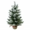 Northlight 22" Flocked Pine Full Artificial Christmas Tree In Burlap Base - Unlit 1 Northlight 22" Flocked Pine Full Artificial Christmas Tree In Burlap Base - Unlit -Northlight Shop gn6nte4v09fajtdzv2u3qca72hhk5gpq 74555.1665088077