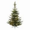 Kaemingk 4.5' X 40.25" Pre-Lit Everlands Nobilis Fir Artificial Christmas Tree - Warm Clear LED Lights 2 Kaemingk 4.5' X 40.25" Pre-Lit Everlands Nobilis Fir Artificial Christmas Tree - Warm Clear LED Lights -Northlight Shop ilmavsddnomkbvsbrqdloupklfwyip8b 17501.1661451801
