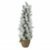 Northlight 2ft Potted Flocked Mini Pine Slim Christmas Tree With Berries - Unlit -Northlight Shop iufjbtciuvh8sdlatpquizke0rqpf1o2 08148.1588357296