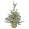 Napa Home & Garden 2' Potted Vintage Glittered Pine Full Artificial Christmas Tree - Unlit 2 Napa Home & Garden 2' Potted Vintage Glittered Pine Full Artificial Christmas Tree - Unlit -Northlight Shop napa20z1425pl 35390.1665611933