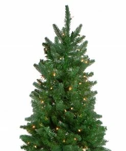 Northlight 7' Pre-Lit Altoona Pine Slim Artificial Christmas Tree - Clear Lights 7 Northlight 7' Pre-Lit Altoona Pine Slim Artificial Christmas Tree - Clear Lights -Northlight Shop northlight20z28593 28997.1644368847