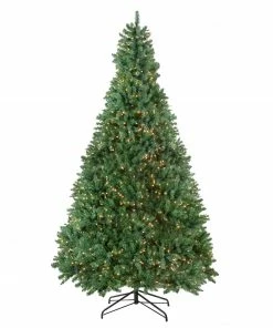 Northlight 9.5' Pre-Lit Full Buffalo Fir Artificial Christmas Tree - Clear Lights