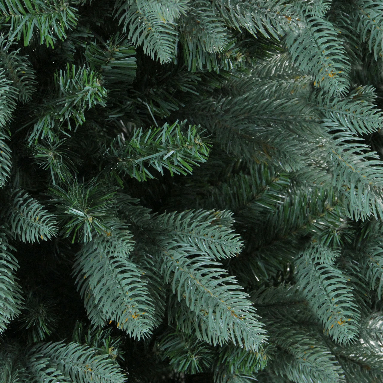 Northlight 9' Slim Washington Frasier Fir Artificial Christmas Tree - Unlit 4 Northlight 9' Slim Washington Frasier Fir Artificial Christmas Tree - Unlit - Image 2
