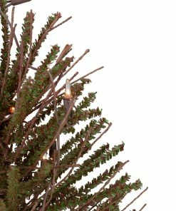 Northlight 2' Pre-Lit Medium Potted Warsaw Twig Artificial Christmas Tree - Clear Lights 10 Northlight 2' Pre-Lit Medium Potted Warsaw Twig Artificial Christmas Tree - Clear Lights -Northlight Shop northlight b03909 2 77497.1622640326