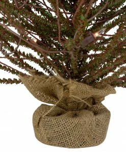 Northlight 2' Pre-Lit Medium Potted Warsaw Twig Artificial Christmas Tree - Clear Lights 12 Northlight 2' Pre-Lit Medium Potted Warsaw Twig Artificial Christmas Tree - Clear Lights -Northlight Shop northlight b03909 3 87569.1608088099