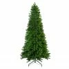 Northlight 14' Slim Eastern Pine Artificial Christmas Tree - Unlit 2 Northlight 14' Slim Eastern Pine Artificial Christmas Tree - Unlit -Northlight Shop northlight b36391 36572.1588415052