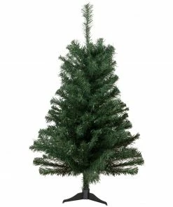 Northlight 2' Medium Blackwater Fir Artificial Christmas Tree - Unlit