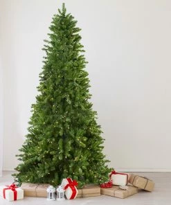 Alternative view of Northlight 14' Pre-Lit Eastern Pine Slim Artificial Christmas Tree - Clear Lights