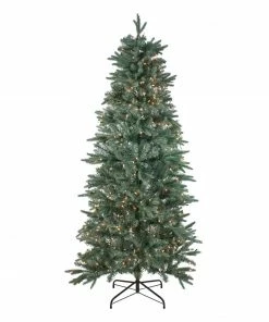 Northlight 14' Pre-Lit Washington Frasier Fir Slim Artificial Christmas Tree - Clear Lights