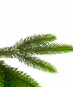 Northlight 7.5' Gunnison Pine Artificial Christmas Tree - Unlit 10 Northlight 7.5' Gunnison Pine Artificial Christmas Tree - Unlit -Northlight Shop northlight hb27086 3 08356.1665783355