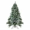 Northlight 6.5' Pre-Lit Flocked Winter Park Fir Artificial Christmas Tree - Clear Lights 2 Northlight 6.5' Pre-Lit Flocked Winter Park Fir Artificial Christmas Tree - Clear Lights -Northlight Shop northlight hb27124 11581.1665611629