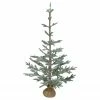 Northlight 4' Snow Covered Frosted Pine Artificial Christmas Tree With Jute Base – Unlit 2 Northlight 4' Snow Covered Frosted Pine Artificial Christmas Tree With Jute Base – Unlit -Northlight Shop northlight hn89325 88785.1605666847