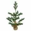 Northlight 2' Ponderosa Pine Artificial Christmas Tree Jute Base Decoration – Unlit 2 Northlight 2' Ponderosa Pine Artificial Christmas Tree Jute Base Decoration – Unlit -Northlight Shop northlight hn91121 08039.1605320597