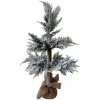 Northlight 27.5" Heavily Flocked Pine Christmas Tree In Natural Jute Base -Northlight Shop northlight hn92700 1 pre20list 66552.1636200438