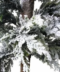 Alternative view of Northlight 35.25" Heavily Flocked Pine Tree In Natural Jute Base Christmas Decoration