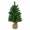 Northlight 18" Pre-Lit Two-Tone Green Pine Artificial Christmas Tree In Burlap, Clear LED Lights -Northlight Shop northlight j00065 22698.1644973046