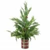Northlight 24" Iced Cedar Artificial Christmas Tree In Plaid Pot - Unlit -Northlight Shop northlight jy91578 35245.1608349860