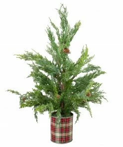 Northlight 24" Iced Cedar Artificial Christmas Tree In Plaid Pot - Unlit