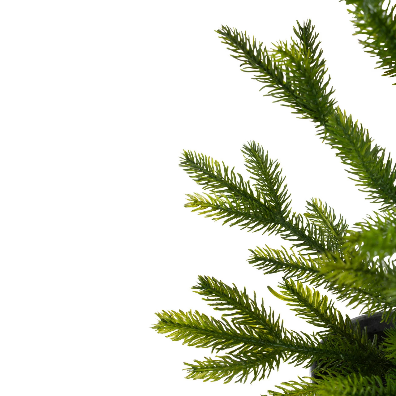 Northlight 2' Potted Pine Medium Artificial Christmas Tree – Unlit 6 Northlight 2' Potted Pine Medium Artificial Christmas Tree – Unlit - Image 4