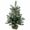 Northlight 2' B/O Potted Frosted Pine Medium Artificial Christmas Tree In A Burlap Pot- Warm White Lights -Northlight Shop northlight kji91318 96264.1600910530