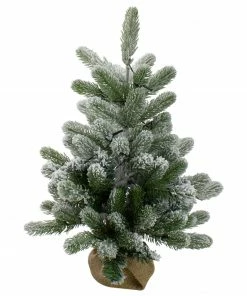 Northlight 2' B/O Potted Frosted Pine Medium Artificial Christmas Tree In A Burlap Pot- Warm White Lights