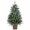 Northlight 4' Pre-Lit Frosted Mixed Berry Pine Artificial Christmas Tree In Pot - Clear Lights -Northlight Shop northlight lt91581 1 updated 43060.1665611634