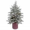 Northlight 4' Pre-Lit Flocked Saratoga Spruce Artificial Christmas Tree In Pot - Clear Lights 1 Northlight 4' Pre-Lit Flocked Saratoga Spruce Artificial Christmas Tree In Pot - Clear Lights -Northlight Shop northlight lt91590 1 updated 17155.1609385230
