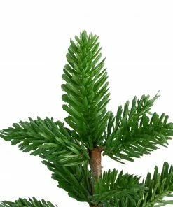 Northlight 1.3' Potted Pine Medium Artificial Tabletop Christmas Tree - Unlit 8 Northlight 1.3' Potted Pine Medium Artificial Tabletop Christmas Tree - Unlit -Northlight Shop northlight nl00136 2 29678.1588356257