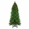 Northlight 7.5' Pre-Lit Slim Olympia Pine Artificial Christmas Tree - Warm White Lights 1 Northlight 7.5' Pre-Lit Slim Olympia Pine Artificial Christmas Tree - Warm White Lights -Northlight Shop northlight nl03216 updated 67783.1665611927