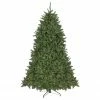 Northlight 7.5' Pre-Lit Rockwood Pine Artificial Christmas Tree, Clear LED Lights 1 Northlight 7.5' Pre-Lit Rockwood Pine Artificial Christmas Tree, Clear LED Lights -Northlight Shop northlight sm93005 1up 12198.1666251135