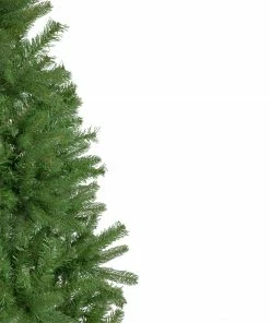 Northlight 6.5' Full Sierra Noble Fir Artificial Christmas Tree - Unlit 12 Northlight 6.5' Full Sierra Noble Fir Artificial Christmas Tree - Unlit -Northlight Shop northlight sm93014 2 34148.1659647934