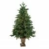 Northlight 4.5' Pre-Lit Potted Sierra Norway Spruce Slim Artificial Christmas Tree - Clear Lights 1 Northlight 4.5' Pre-Lit Potted Sierra Norway Spruce Slim Artificial Christmas Tree - Clear Lights -Northlight Shop northlight sp15038 93987.1665610747