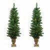 Northlight Set Of 2 Pre-Lit Whitmire Pine Potted Artificial Christmas Trees 4' - Clear Lights 1 Northlight Set Of 2 Pre-Lit Whitmire Pine Potted Artificial Christmas Trees 4' - Clear Lights -Northlight Shop northlight sp15039 49437.1665580050
