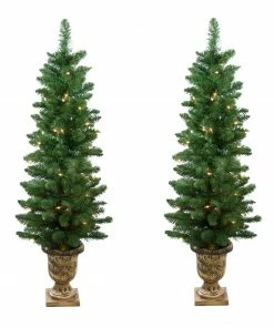 Northlight Set Of 2 Pre-Lit Whitmire Pine Potted Artificial Christmas Trees 4' - Clear Lights