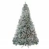 Northlight 9' Pre-Lit Flocked Winema Pine Artificial Christmas Tree - Clear Lights 2 Northlight 9' Pre-Lit Flocked Winema Pine Artificial Christmas Tree - Clear Lights -Northlight Shop northlight sp15065 34511.1665580044