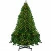 Northlight 14' Pre-Lit Full Olympia Pine Artificial Christmas Tree - Warm White Lights 1 Northlight 14' Pre-Lit Full Olympia Pine Artificial Christmas Tree - Warm White Lights -Northlight Shop northlight th28353 same20as20th28355 52420.1589798180