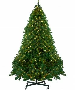 Northlight 12' Pre-Lit Full Olympia Pine Artificial Christmas Tree - Warm White Lights
