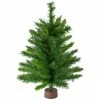 Northlight 24" Mixed Kateson Fir Medium Artificial Christmas Tree - Unlit 2 Northlight 24" Mixed Kateson Fir Medium Artificial Christmas Tree - Unlit -Northlight Shop northlight v03996 updated 04254.1628608990