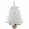 Northlight 2' Medium Balsam Pine Burlap Base Artificial Christmas Tree - Unlit 1 Northlight 2' Medium Balsam Pine Burlap Base Artificial Christmas Tree - Unlit -Northlight Shop northlight v04283 1 77170.1665173702